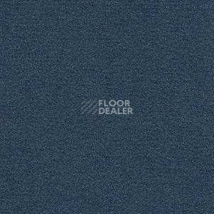 Ковролин Radici Nexus Blu 8262 фото 1 | FLOORDEALER